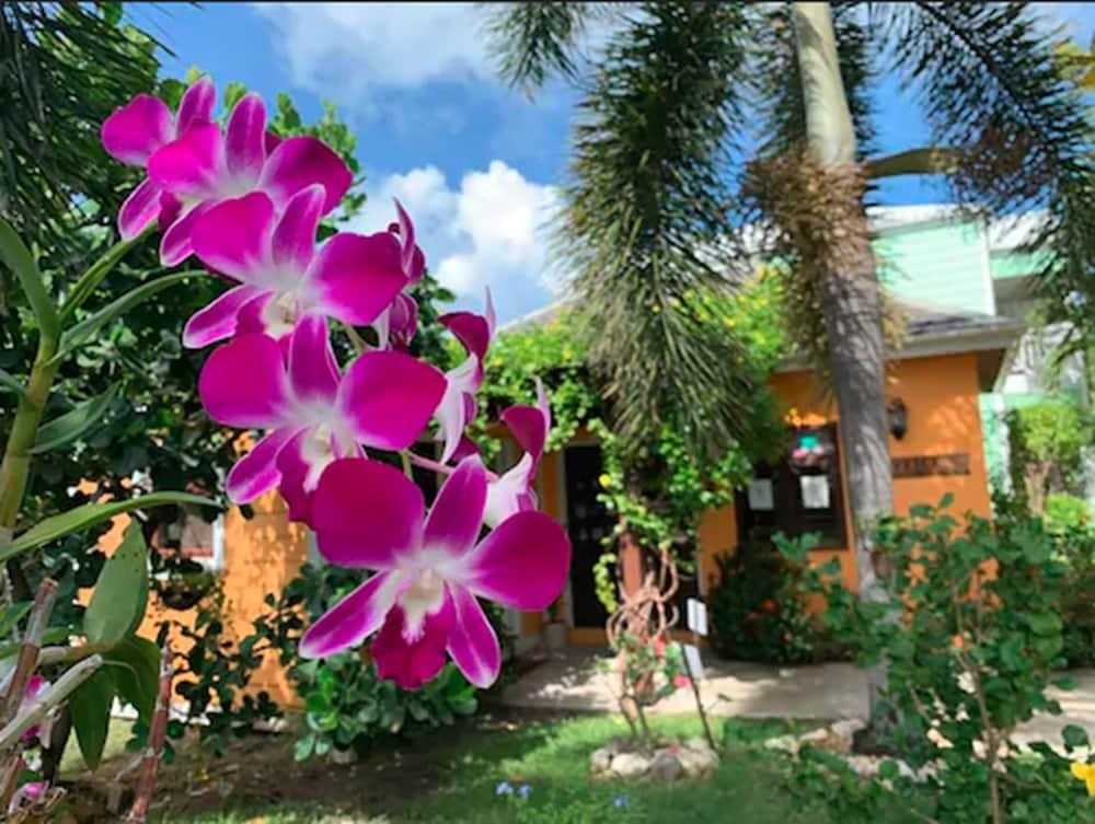 Buccaneer Beach Club Dickenson Bay Kültér fotó