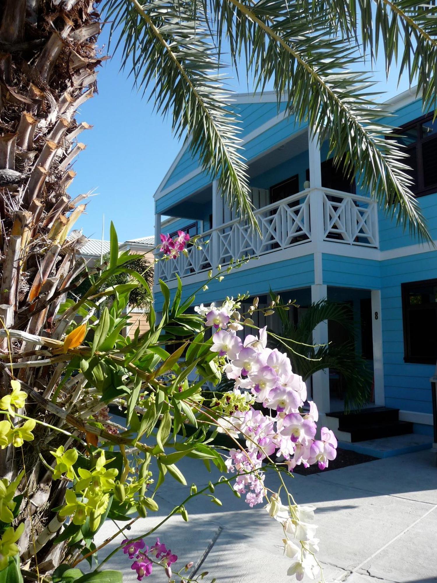 Buccaneer Beach Club Dickenson Bay Kültér fotó