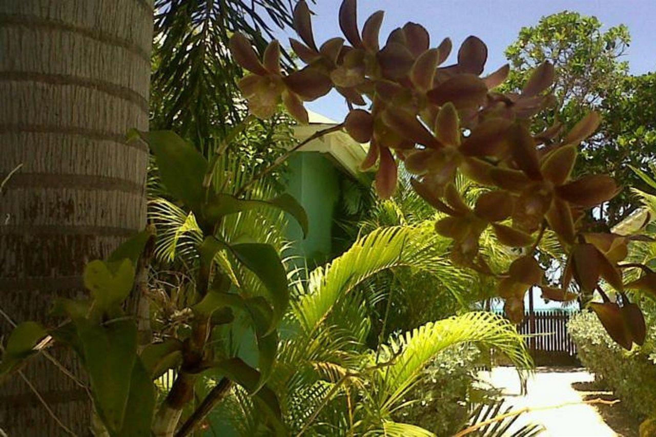 Buccaneer Beach Club Dickenson Bay Kültér fotó