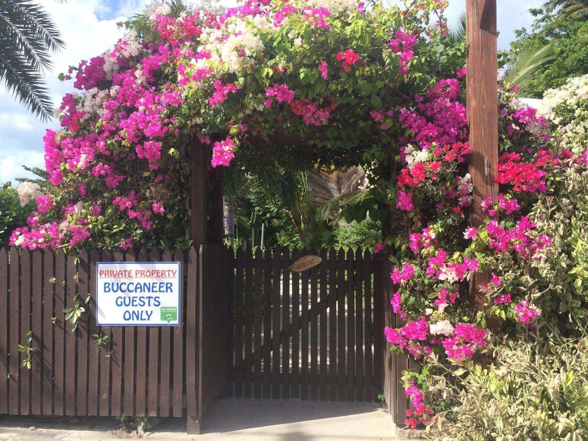 Buccaneer Beach Club Dickenson Bay Kültér fotó